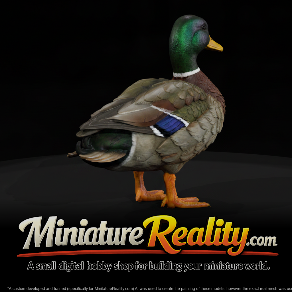 Mallard Male miniature, three-quarter view