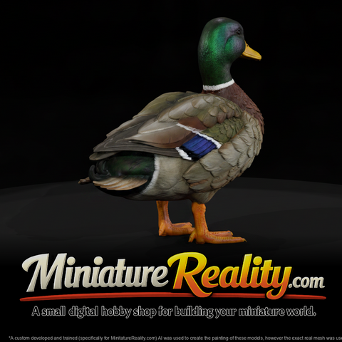 Mallard Male miniature, three-quarter view