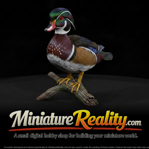 Wood Duck Male miniature, three-quarter view
