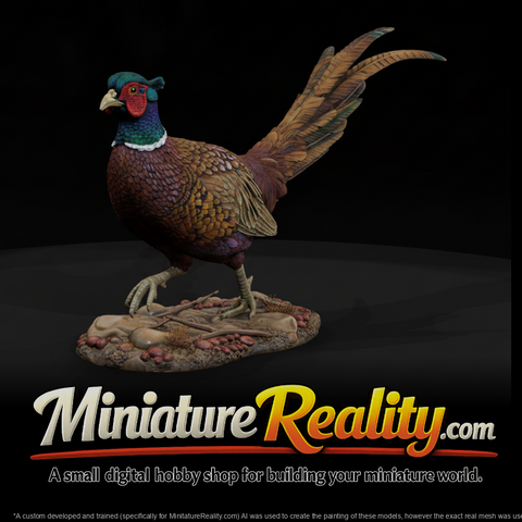 Ring Necked Pheasant Male miniature, three-quarter view