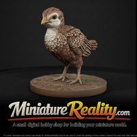 Young Ring-Necked Pheasant miniature, three-quarter view — thumbnail 1