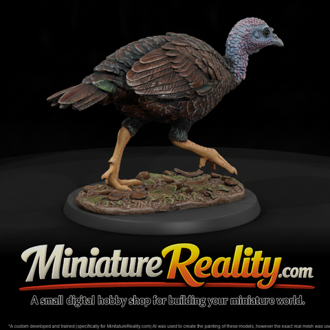 Wild Turkey Adolescent miniature, three-quarter view