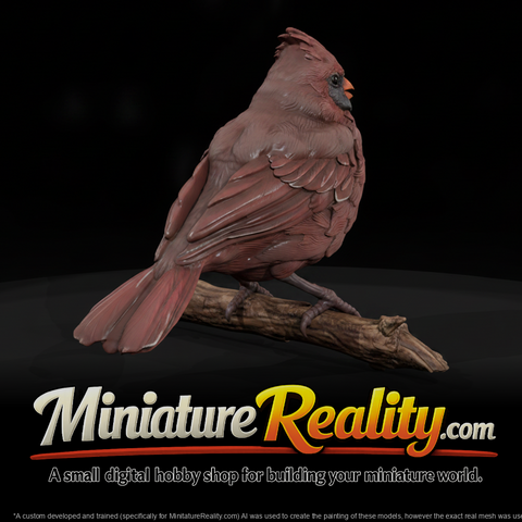 Northern Cardinal Adolescent miniature, three-quarter view