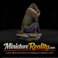 Mandrill Male miniature, three-quarter view — thumbnail 1
