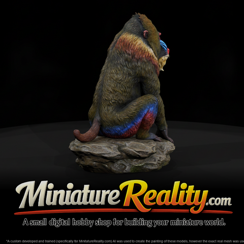 Mandrill Male miniature, three-quarter view