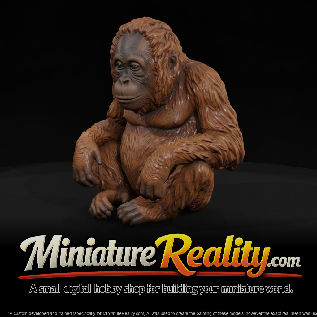Young Orangutan Sitting miniature, three-quarter view