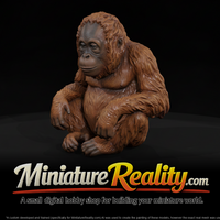 Young Orangutan Sitting miniature, three-quarter view — thumbnail 1