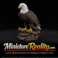 Bald Eagle Male miniature, three-quarter view — thumbnail 1