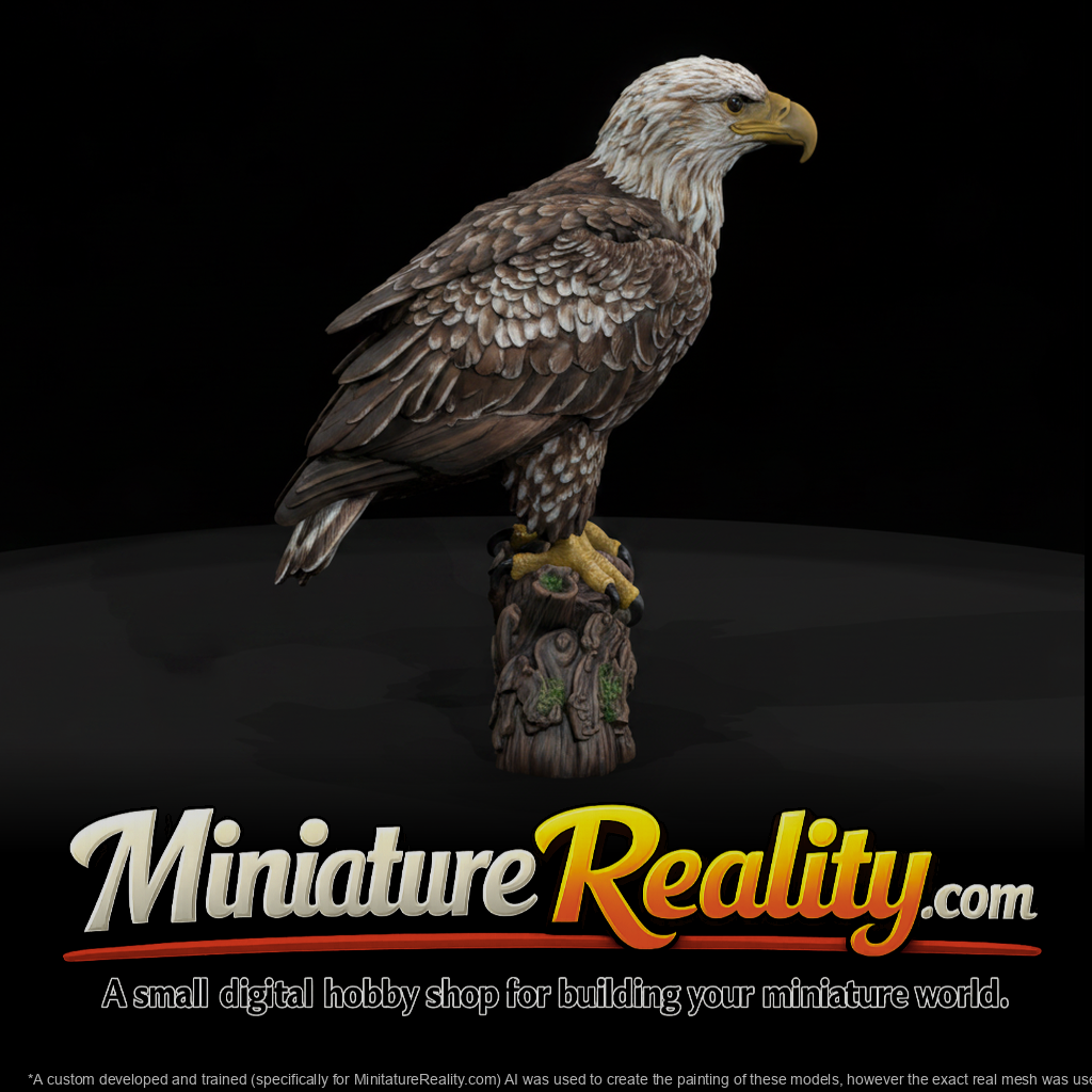 Bald Eagle Adolescent miniature, three-quarter view