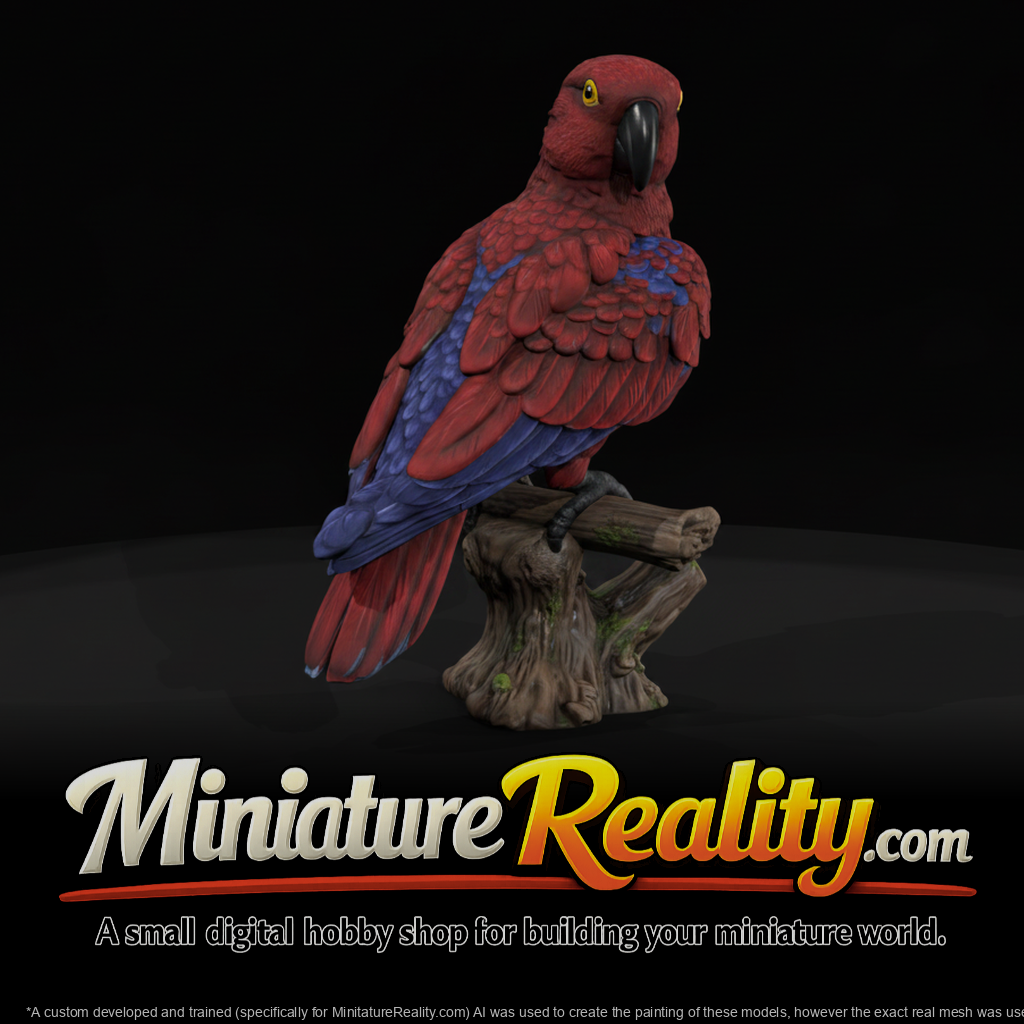 Eclectus Parrot Female miniature, three-quarter view