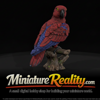 Eclectus Parrot Female miniature, three-quarter view — thumbnail 1