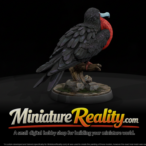 Frigatebird Male miniature, three-quarter view