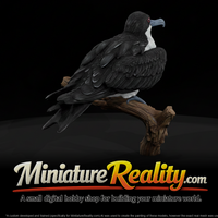 Frigatebird Female miniature, three-quarter view — thumbnail 1