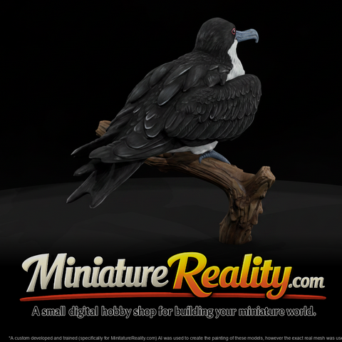 Frigatebird Female miniature, three-quarter view