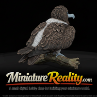 Frigatebird Adolescent miniature, three-quarter view — thumbnail 1