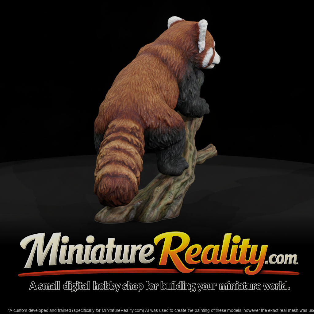Red Panda Male miniature, three-quarter view