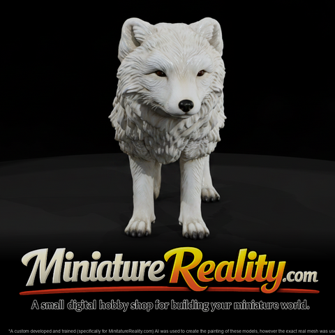 Arctic Fox Male miniature, three-quarter view