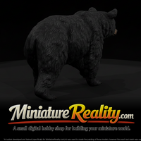 American Black Bear Female miniature, three-quarter view — thumbnail 1