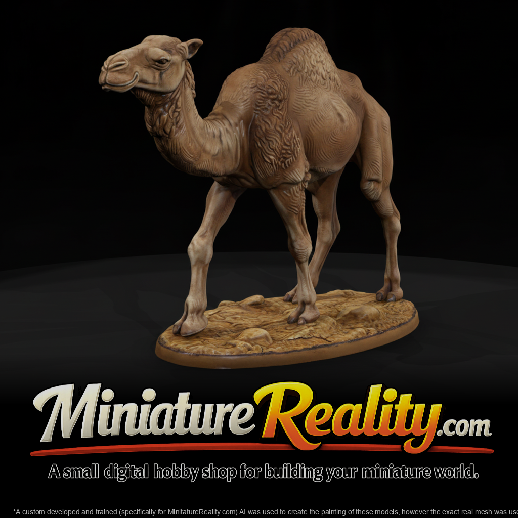 Dromedary Camel Female miniature, three-quarter view