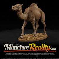 Dromedary Camel Female miniature, three-quarter view — thumbnail 1