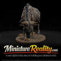 Blue Wildebeest Male miniature, three-quarter view — thumbnail 1