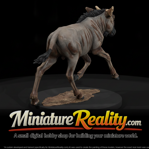 Blue Wildebeest Adolescent miniature, three-quarter view