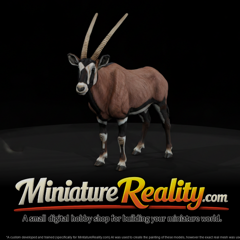Gemsbok Male miniature, three-quarter view