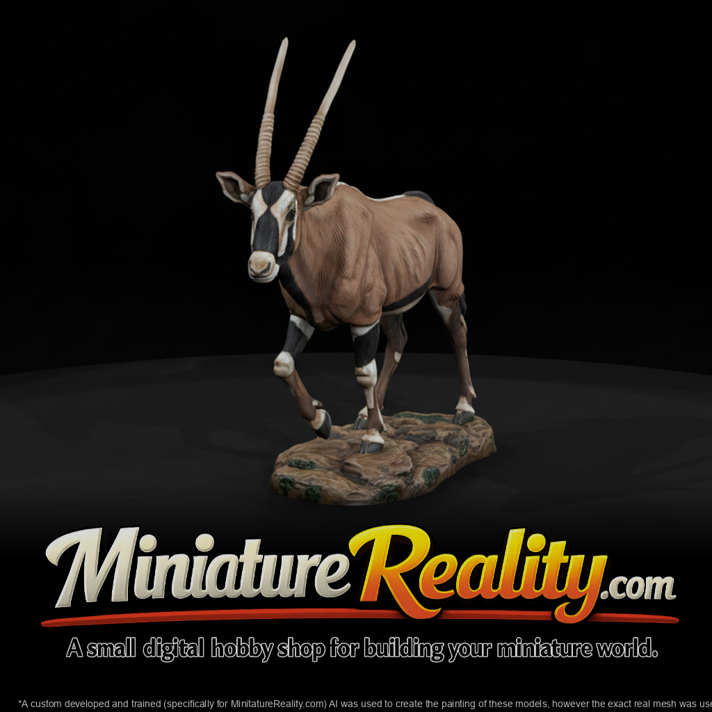 Gemsbok Female miniature, three-quarter view