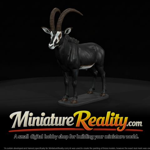 Sable Antelope Male miniature, three-quarter view