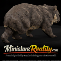 Common Wombat Male miniature, three-quarter view — thumbnail 1