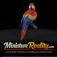 Scarlet Macaw Female miniature, three-quarter view — thumbnail 1