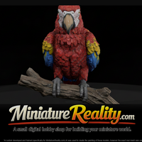 Scarlet Macaw Adolescent miniature, three-quarter view — thumbnail 1