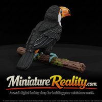 Toco Toucan Perched on Branch miniature, three-quarter view — thumbnail 1