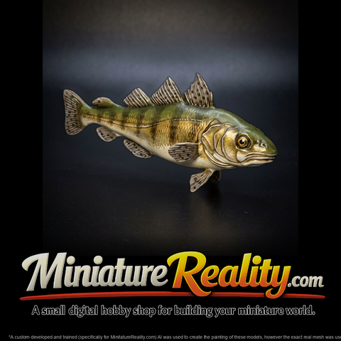Atlantic Cod Miniature and Displays