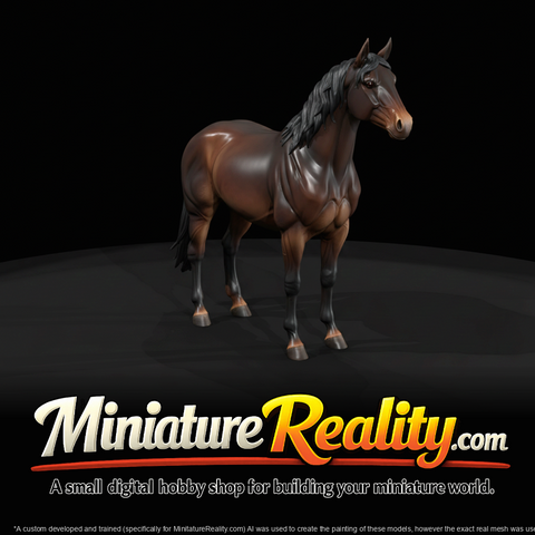 bay horse
