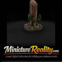 Broken Tree Stump with Saplings — thumbnail 2