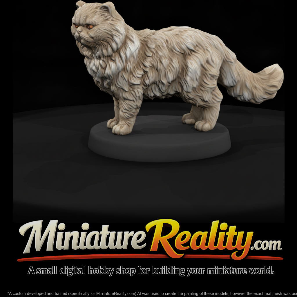 Longhair Persian Cat