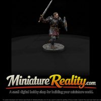 Human Fighter with Sword and Shield — thumbnail 2