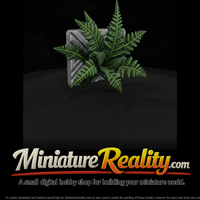 Wall-Mounted Fern in Square Planter — thumbnail 2