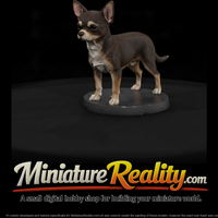Standing Chihuahua — thumbnail 2