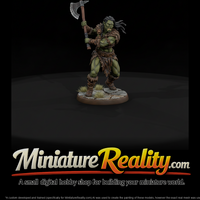 Half-Orc Barbarian with Battle Axe — thumbnail 2