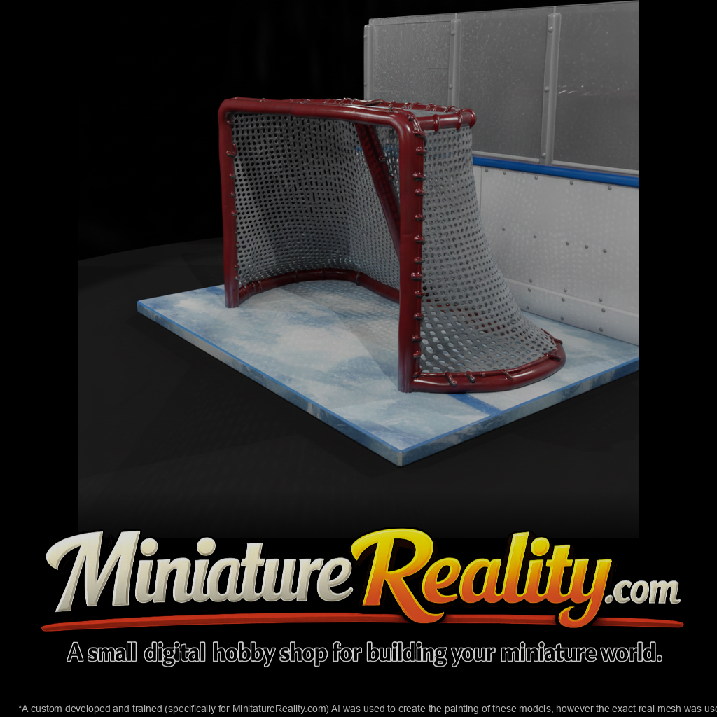 Hockey Goal Net with Rink Boards