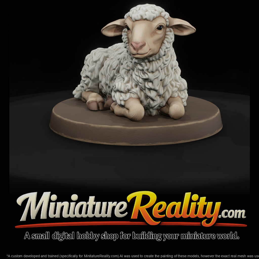 Resting Woolly Sheep