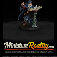 Gnome Wizard Casting from Spellbook — thumbnail 2