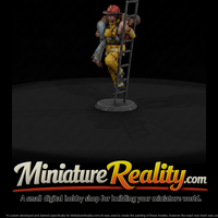 Firefighter Carrying Victim Down Ladder — thumbnail 2