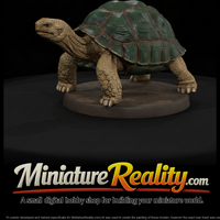 Giant Land Tortoise — thumbnail 2