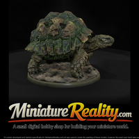 Armored Rock Tortoise — thumbnail 2