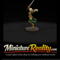 Elf Blademaster in Gilded Armor — thumbnail 2