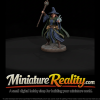 Spellcasting Wizard with Staff — thumbnail 2