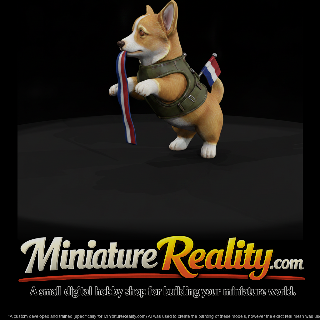 Corgi Puppy in Harness with Ribbon